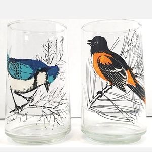 Tumbler Drinking Glasses Birds Baltimore Oriole Blue Jay Clear 12 cm Set of Two